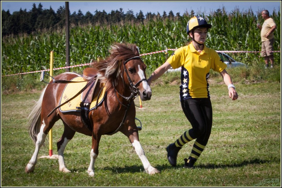 Mounted Games 047